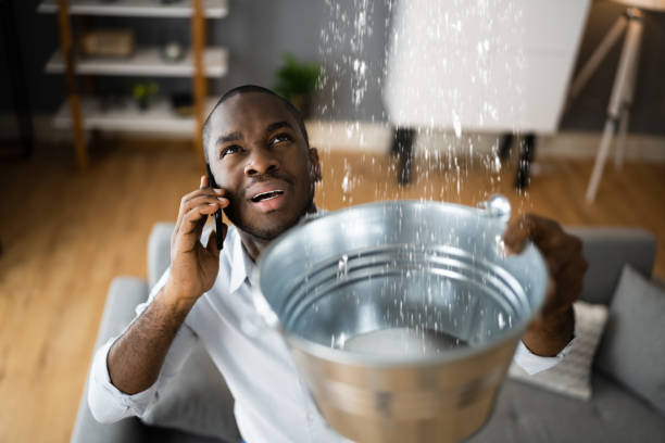Best Flood restoration services  in Weirton, WV