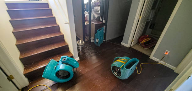 Best Ceiling water damage repair  in Weirton, WV