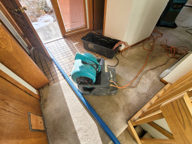 Best Water damage restoration near me  in Weirton, WV