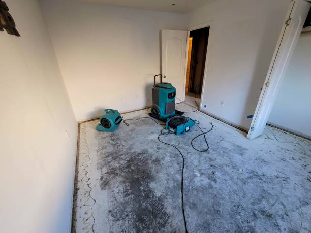 Best Sewage cleanup and water damage restoration  in Weirton, WV