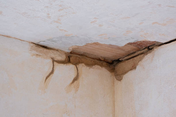 Best Flood damage cleanup  in Weirton, WV