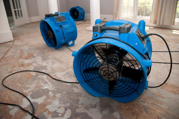 Best Ceiling water damage repair  in Weirton, WV