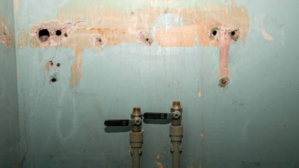 Best Residential water damage restoration  in Weirton, WV