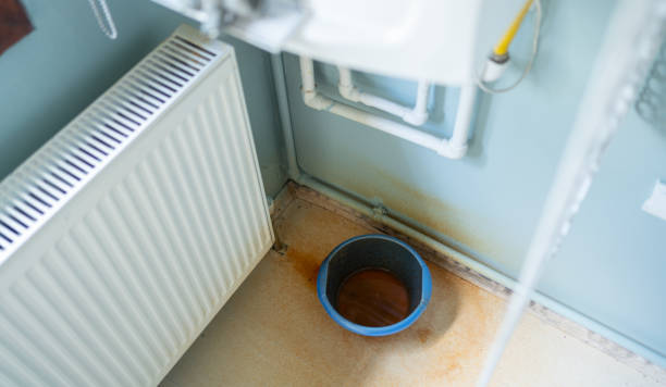 Best Mold removal after water damage  in Weirton, WV