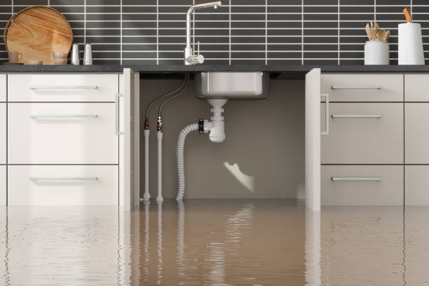 Best Water damage restoration near me  in Weirton, WV