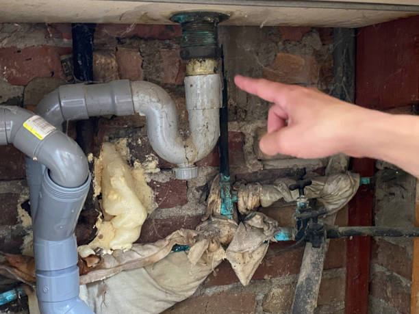 Best Flood damage cleanup  in Weirton, WV