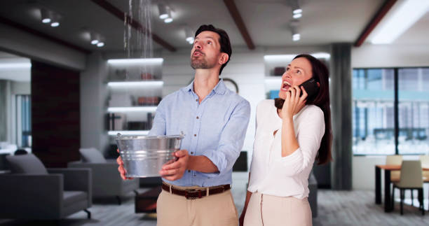 Best Carpet water damage restoration  in Weirton, WV