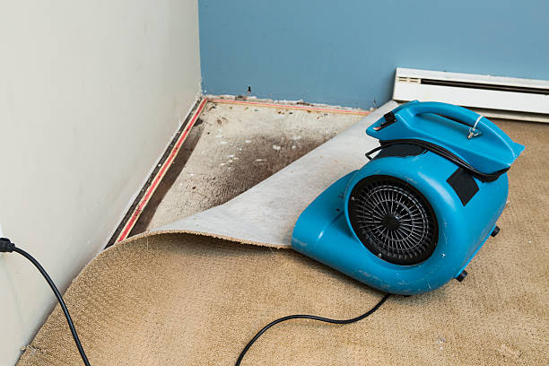  Weirton, WV Water damage restoration Pros